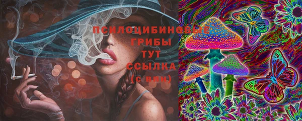 mdpv Мегион