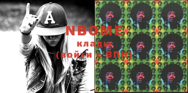 индика Янаул